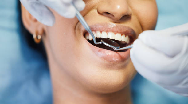Best Emergency Denture Repair in Knollwood, IL